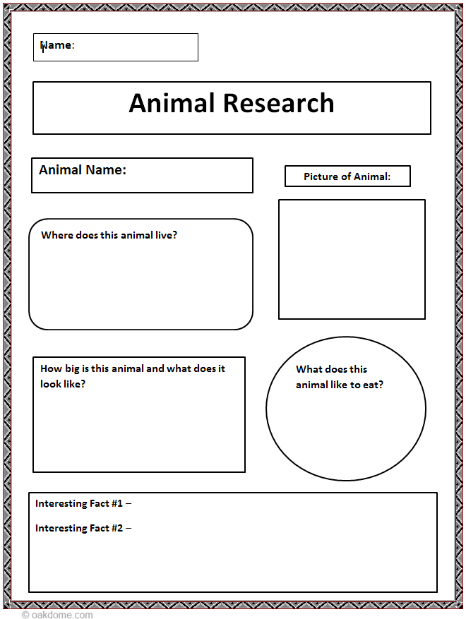 Animal Report Template