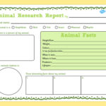 Animal Report Template