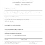 Annual Budget Report Template