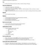 Chemistry Lab Report Template