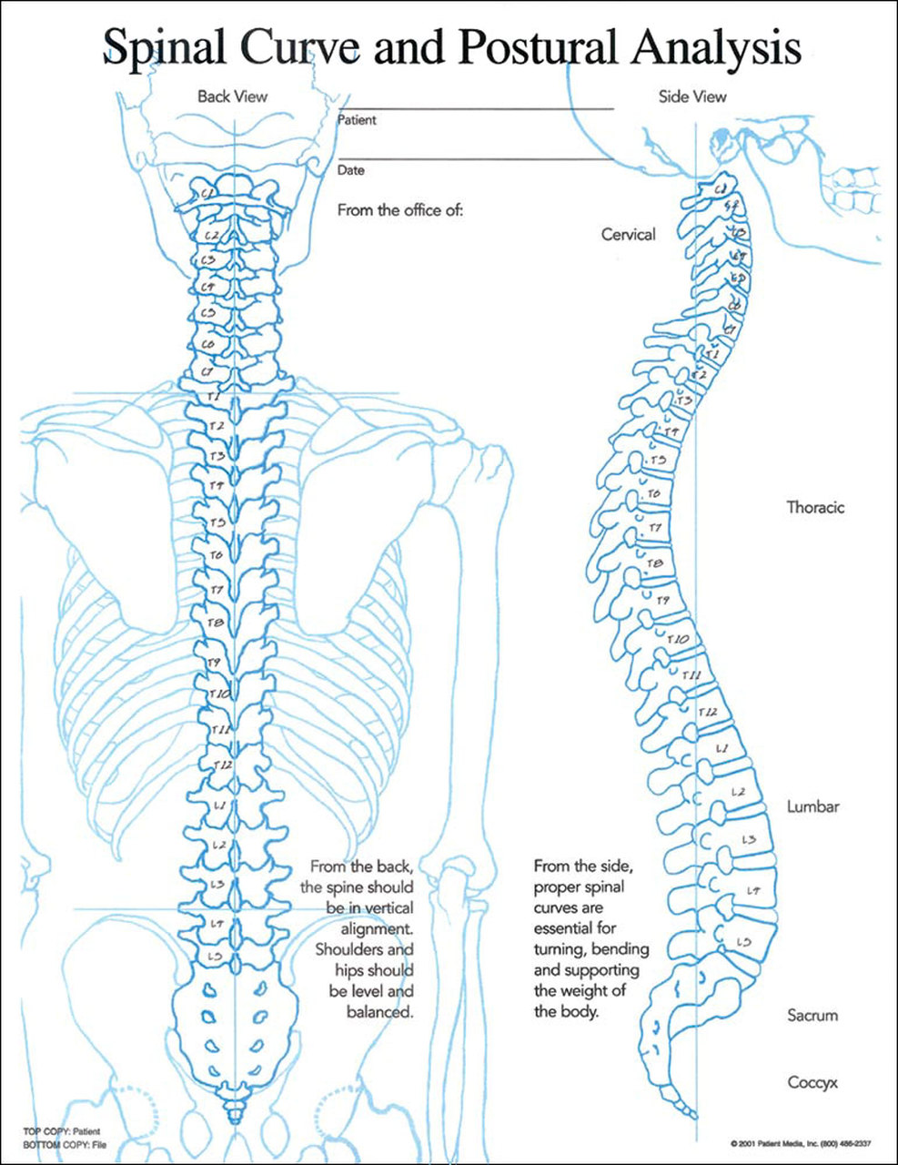 Chiropractic X Ray Report Template