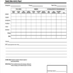 Daily Activity Report Template