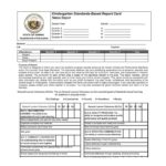 Fake Report Card Template