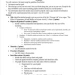 Formal Lab Report Template