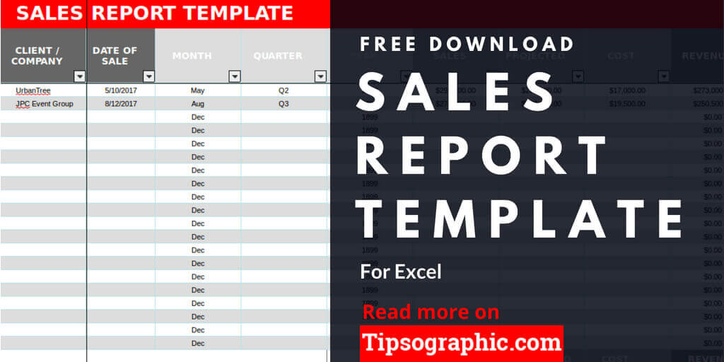 Free Daily Sales Report Excel Template