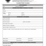 Incident Report Form Template Word