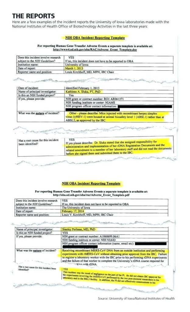 Itil Incident Report Form Template (7) PROFESSIONAL TEMPLATES