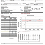 Megger Test Report Template