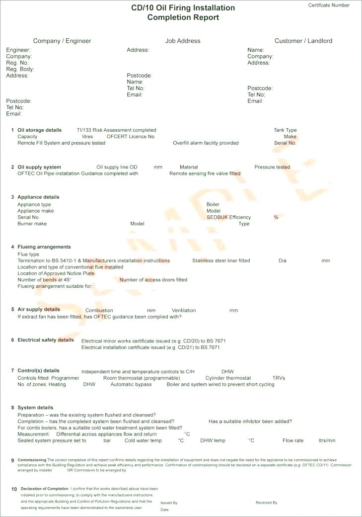 Megger Test Report Template