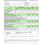 Monthly Health And Safety Report Template