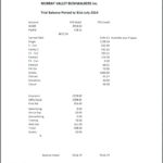 Non Profit Treasurer Report Template