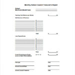 Non Profit Treasurer Report Template