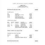 Non Profit Treasurer Report Template