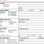 Nursing Shift Report Template