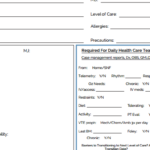 Nursing Shift Report Template