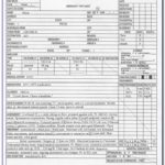 Patient Care Report Template