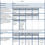 Project Management Final Report Template