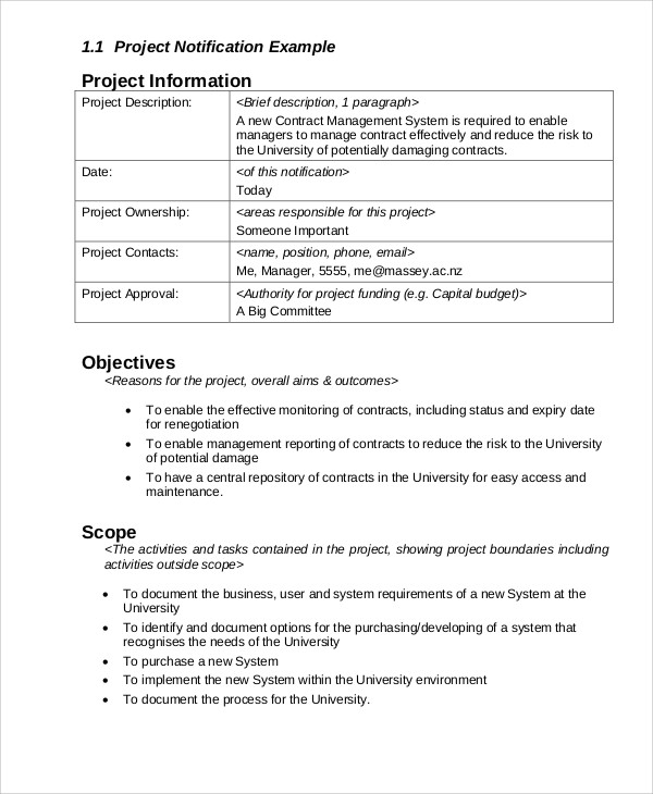 Project Management Final Report Template