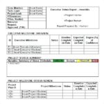 Project Status Report Template Excel Download Filetype Xls