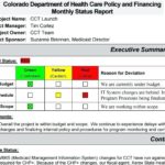 Project Status Report Template Excel Download Filetype Xls