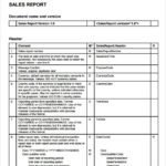 Sales Call Report Template