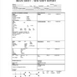 Shift Report Template