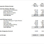 Treasurer Report Template