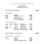 Treasurer Report Template