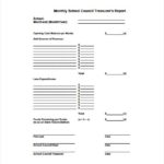 Treasurer Report Template