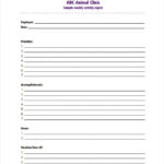 Weekly Activity Report Template