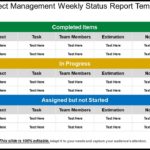 Weekly Progress Report Template Project Management