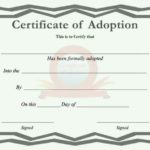 Adoption Certificate Template