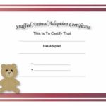 Adoption Certificate Template