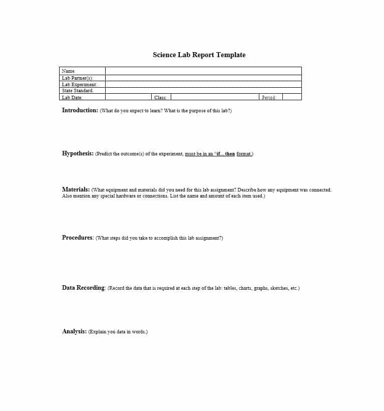 Assignment Report Template