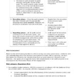 Audit Findings Report Template