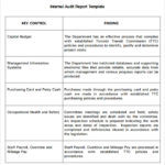 Audit Findings Report Template