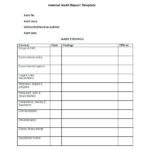 Audit Findings Report Template