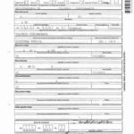 Birth Certificate Translation Template