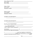 Birth Certificate Translation Template