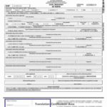 Birth Certificate Translation Template