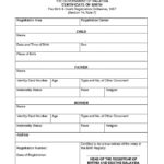 Birth Certificate Translation Template