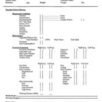 Carotid Ultrasound Report Template