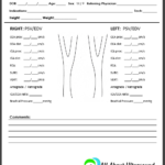 Carotid Ultrasound Report Template