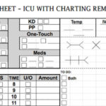 Charge Nurse Report Sheet Template