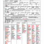 Crime Scene Report Template