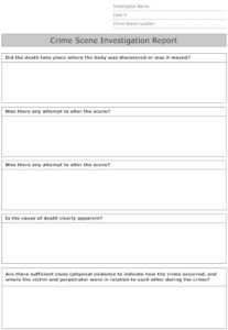 Crime Scene Report Template (8) - PROFESSIONAL TEMPLATES | PROFESSIONAL
