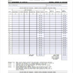 Daily Expense Report Template