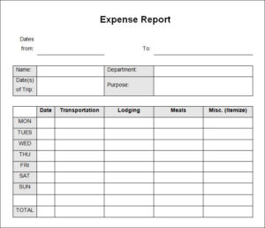 Daily Expense Report Template - PROFESSIONAL TEMPLATES | PROFESSIONAL ...