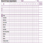 Daily Expense Report Template