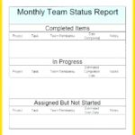 Daily Project Status Report Template